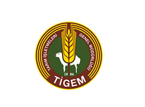 tigem